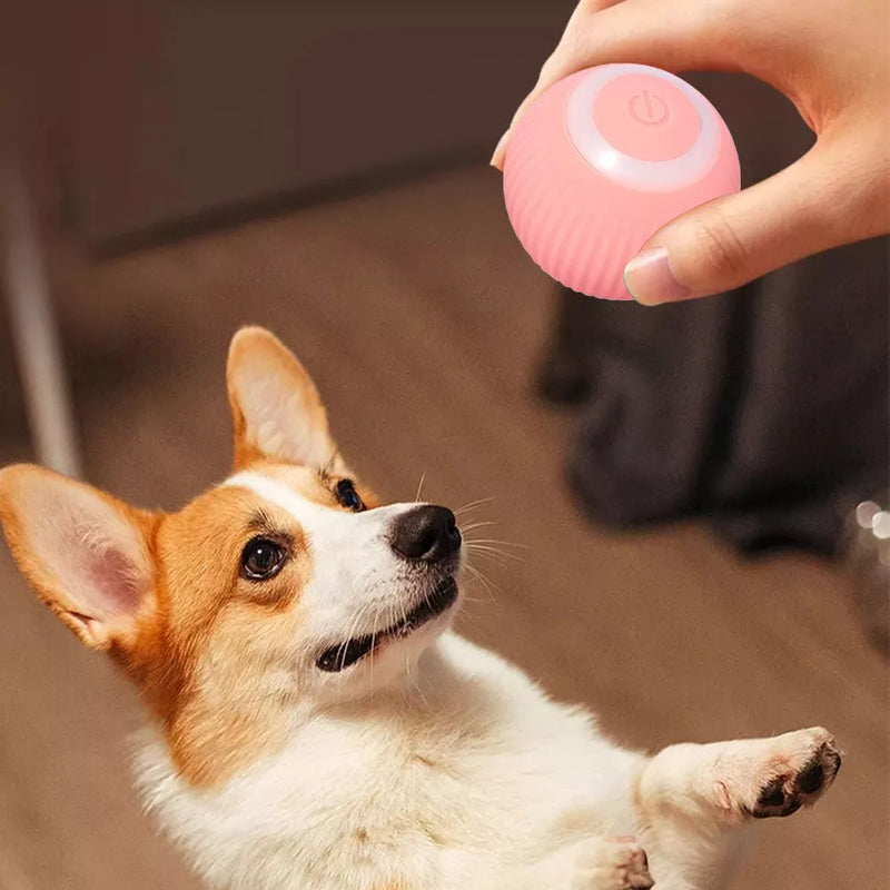 PELOTA JUGUETE INTELIGENTE MASCOTA